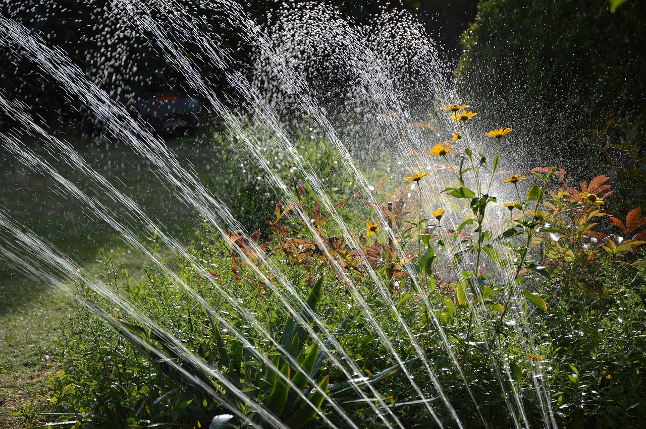 garden, irrigation, nature, water, sprinkler, waterdrop, artificially, splash
