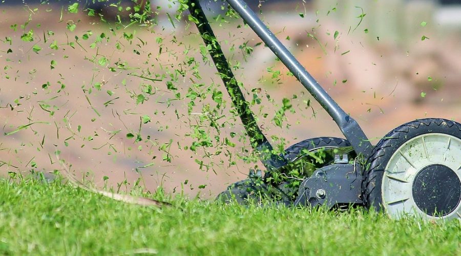 lawn mower, grass, cutting, cutting grass, lawn, hand lawn mower, lawn mowing, mow, meadow, manual operation, green, nature, blades of grass, grass blades, lawn mower, lawn mower, lawn mower, lawn, lawn, lawn, lawn, lawn, lawn mowing