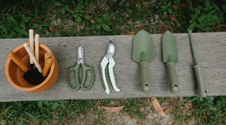 Top view of row of scissors secateurs shovels and tools for loosening soil near pot with instruments on wooden bench in garden