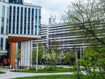 pexels-shox-31656144